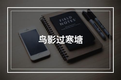 鸟影过寒塘