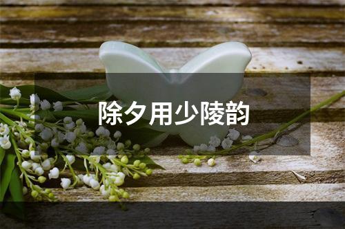 除夕用少陵韵