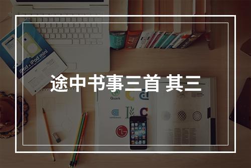途中书事三首 其三