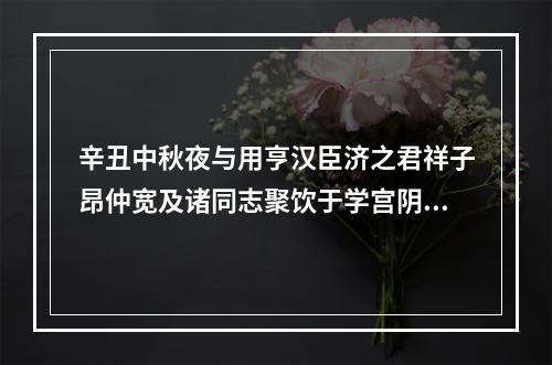 辛丑中秋夜与用亨汉臣济之君祥子昂仲宽及诸同志聚饮于学宫阴不见月 其一