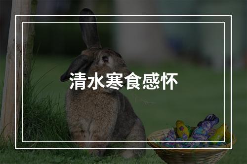 清水寒食感怀