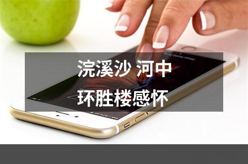 浣溪沙 河中环胜楼感怀