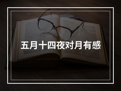 五月十四夜对月有感