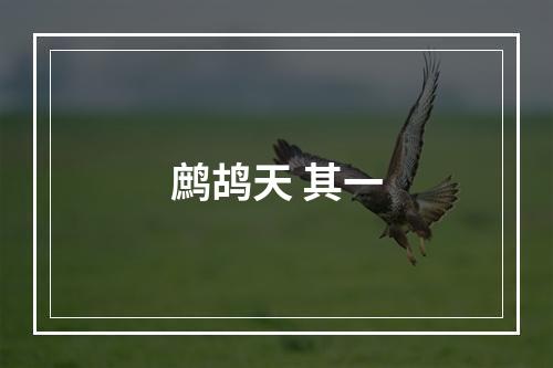 鹧鸪天 其一