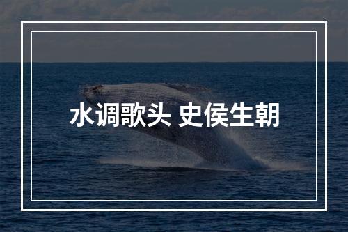 水调歌头 史侯生朝
