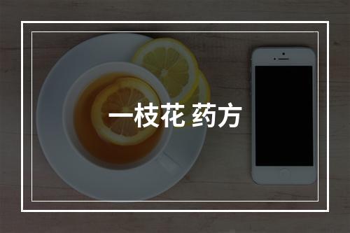 一枝花 药方