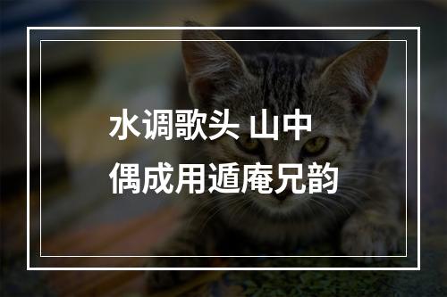 水调歌头 山中偶成用遁庵兄韵