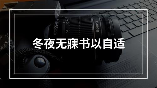 冬夜无寐书以自适