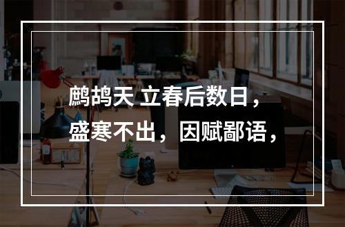 鹧鸪天 立春后数日，盛寒不出，因赋鄙语，