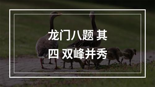 龙门八题 其四 双峰并秀