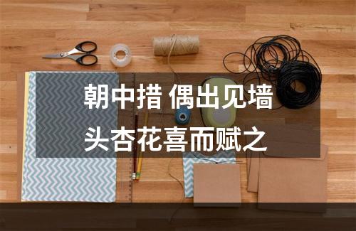 朝中措 偶出见墙头杏花喜而赋之