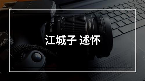 江城子 述怀