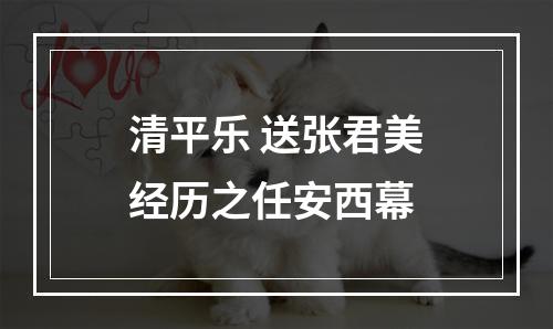 清平乐 送张君美经历之任安西幕
