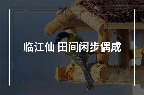 临江仙 田间闲步偶成