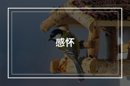 感怀