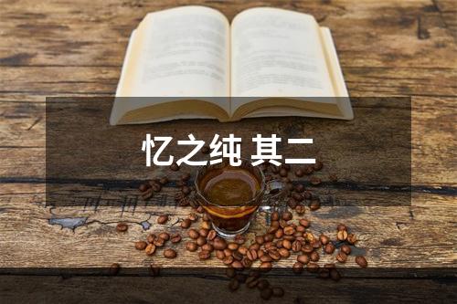 忆之纯 其二