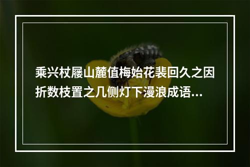 乘兴杖屦山麓值梅始花裴回久之因折数枝置之几侧灯下漫浪成语简诸友一笑云 其二