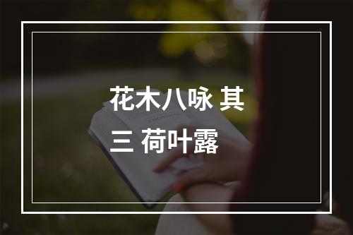花木八咏 其三 荷叶露