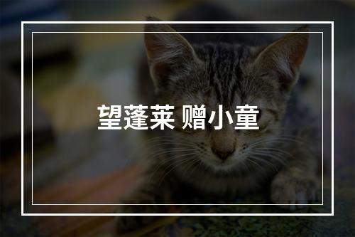 望蓬莱 赠小童