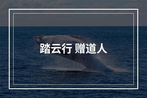 踏云行 赠道人