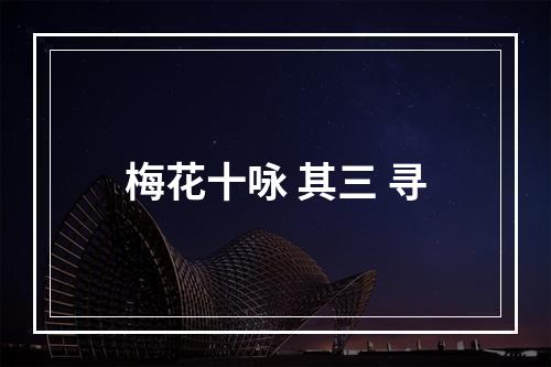 梅花十咏 其三 寻