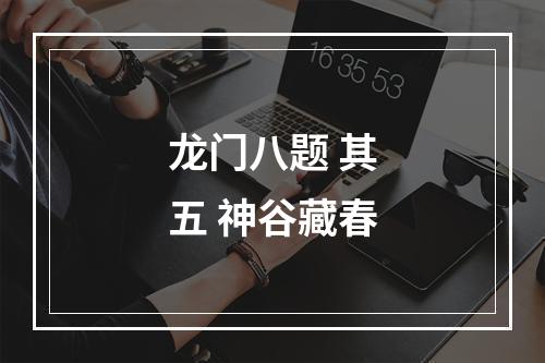 龙门八题 其五 神谷藏春