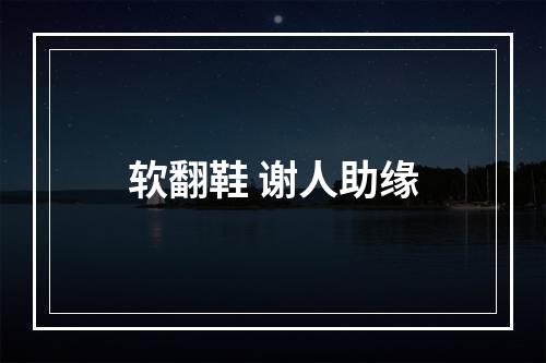 软翻鞋 谢人助缘