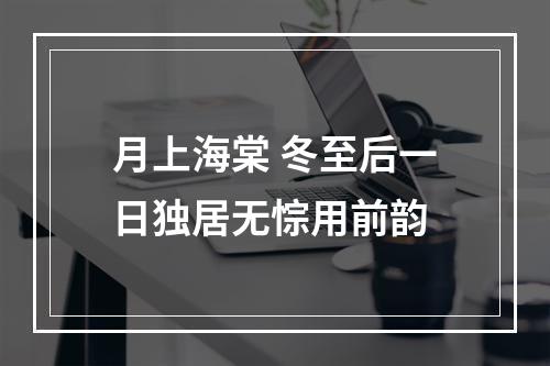 月上海棠 冬至后一日独居无悰用前韵