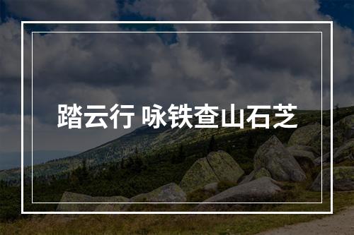 踏云行 咏铁查山石芝