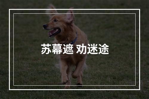 苏幕遮 劝迷途