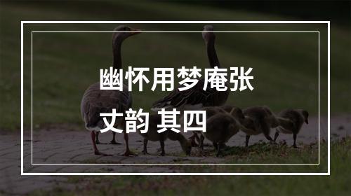 幽怀用梦庵张丈韵 其四