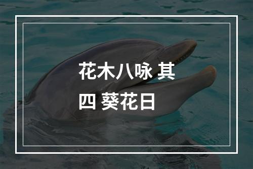 花木八咏 其四 葵花日