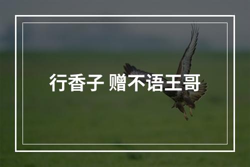 行香子 赠不语王哥