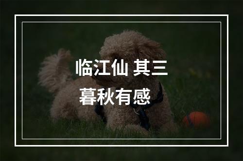 临江仙 其三 暮秋有感