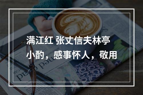 满江红 张丈信夫林亭小酌，感事怀人，敬用