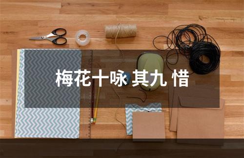 梅花十咏 其九 惜