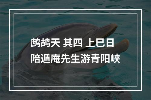 鹧鸪天 其四 上巳日陪遁庵先生游青阳峡
