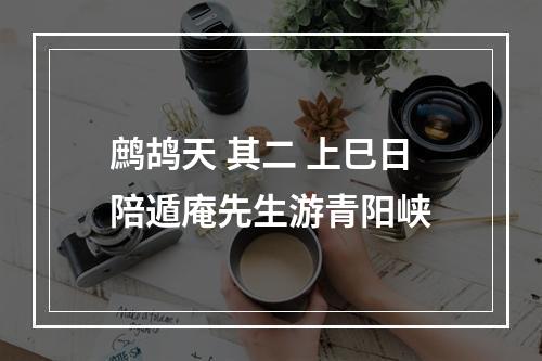 鹧鸪天 其二 上巳日陪遁庵先生游青阳峡