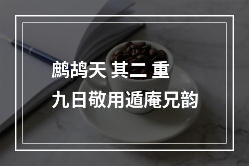 鹧鸪天 其二 重九日敬用遁庵兄韵