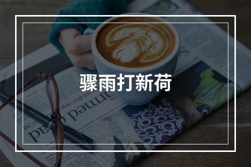 骤雨打新荷