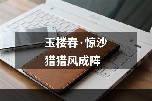 玉楼春·惊沙猎猎风成阵