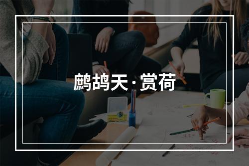 鹧鸪天·赏荷