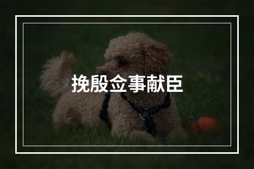 挽殷佥事献臣