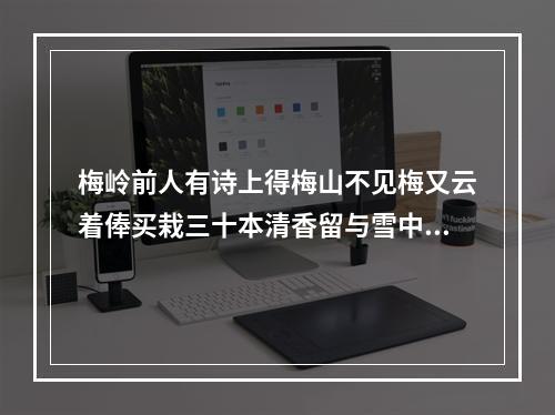 梅岭前人有诗上得梅山不见梅又云着俸买栽三十本清香留与雪中开因次其韵