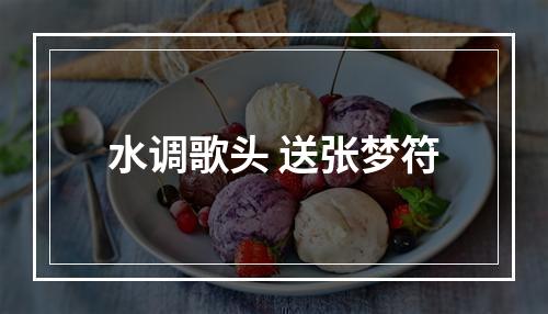 水调歌头 送张梦符