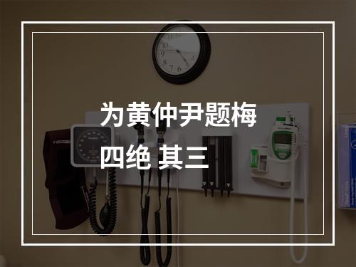 为黄仲尹题梅四绝 其三