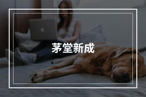 茅堂新成