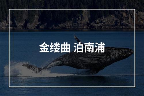 金缕曲 泊南浦