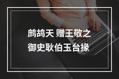 鹧鸪天 赠王敬之御史耿伯玉台掾