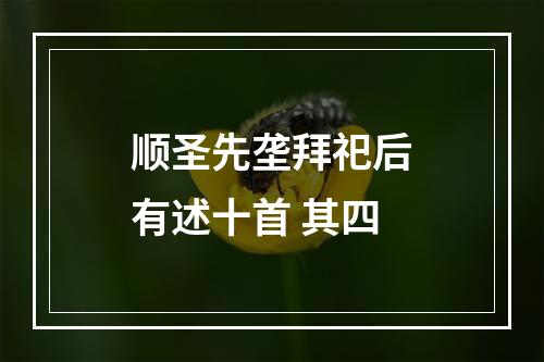 顺圣先垄拜祀后有述十首 其四